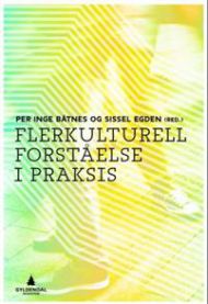 Flerkulturell forståelse i praksis