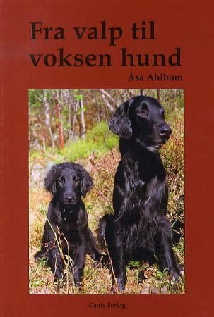 Fra valp til voksen hund