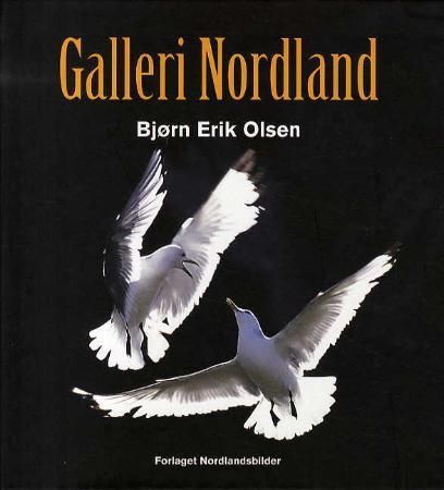 Galleri Nordland