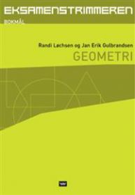 Geometri skolebøker fra Damm med geometriske figurer og matematiske diagrammer.