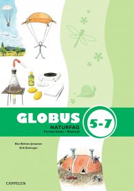 Fargerik globus for naturfag 5-7, Cappelen barneskole, viser verdenskart og geografiske detaljer for elever.