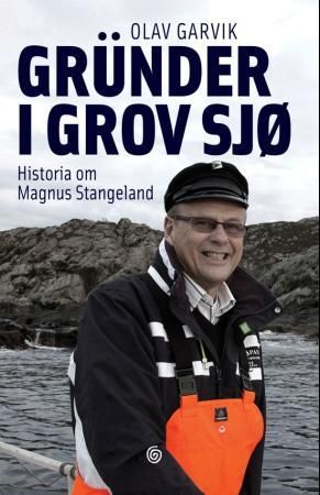 Gründer i grov sjø