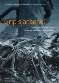 Grip sjansene!: profesjonskompetanse, barn og kulturelt mangfold