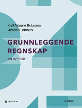 Grunnleggende regnskap: En oversikt