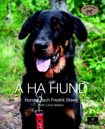 Å ha hund