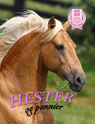 Hester og ponnier