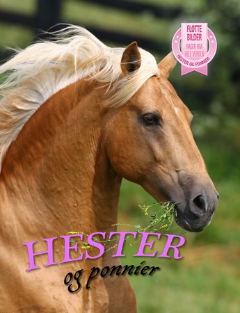 Hester og ponnier