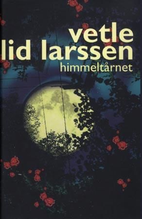 Himmeltårnet: roman