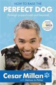 How to Raise the Perfect Dog: Through Puppyhood and Beyond. Cesar Millan with…