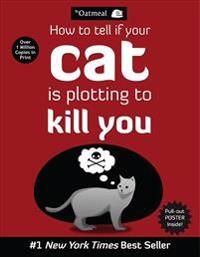 How to tell if your cat is plotting to kill you