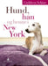 Hund, han og henne i New York