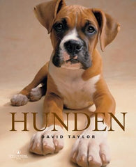 Hunden