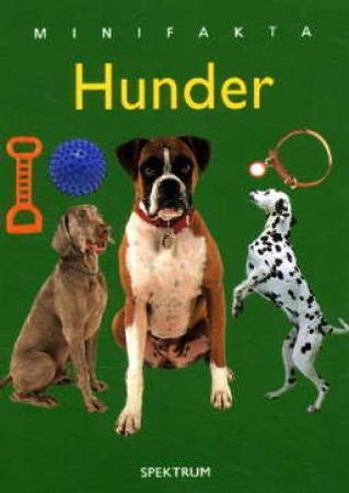 Hunder