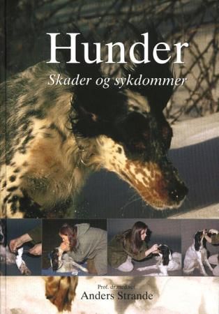 Hunder