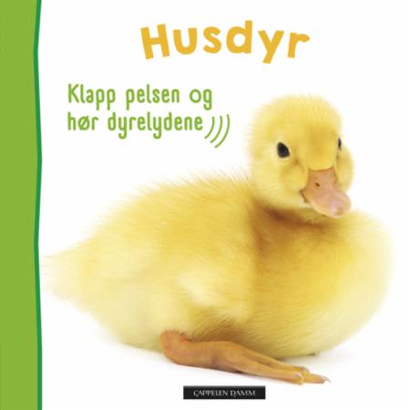 Husdyr