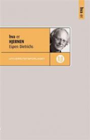 Illustrasjon av hjernen, brukt i medisin og sykepleie, fra boken "Hva er hjernen" utgitt av Universitetsforlaget.