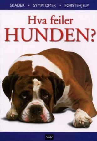 Hva feiler hunden?