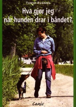 Hva gjør jeg når hunden drar?
