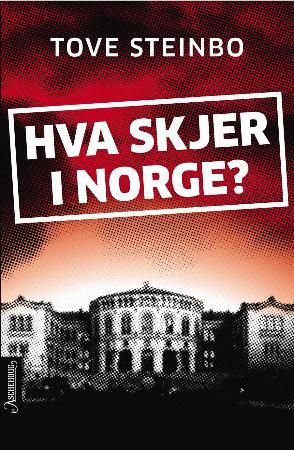 Hva skjer i Norge?: klar tale fra en vettskremt bestemor