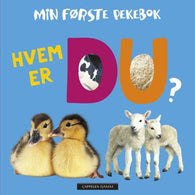 Hvem er du?