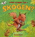 Hvem gjemmer seg i skogen?