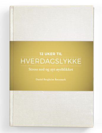 Hverdagslykke