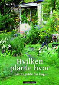 Hvilken plante hvor