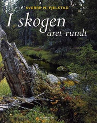 I skogen - året rundt