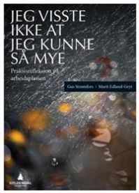 Jeg visste ikke at jeg kunne så mye; praksisrefleksjon på arbeidsplassen