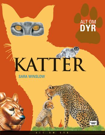 Katter