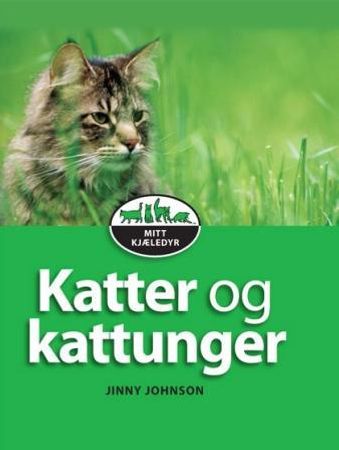 Katter og kattunger