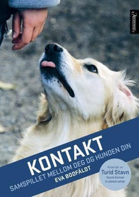 Kontakt