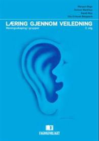 Læring gjennom veiledning: meningsskaping i grupper