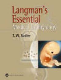 Langman's essential medical embryology