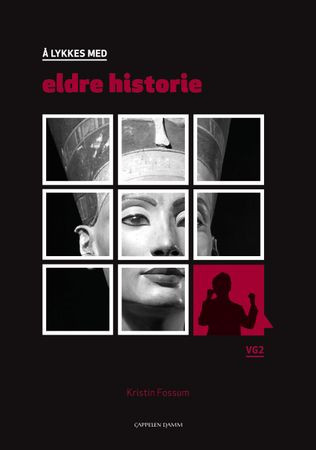 Å lykkes med eldre historie: vg2