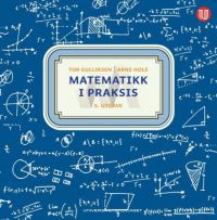 Matematikk i praksis