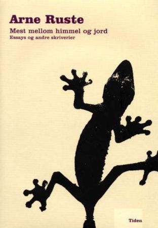 Mest mellom himmel og jord