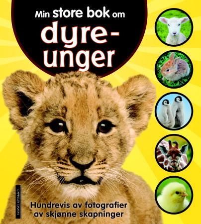 Min store bok om dyreunger
