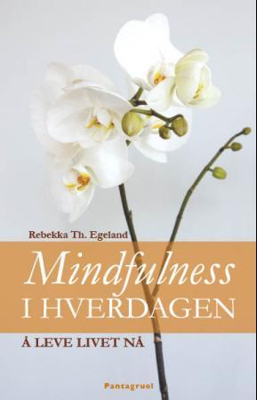 Mindfulness i hverdagen : å leve livet nå
