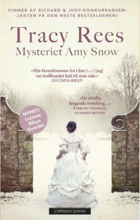 Pocket utgave av Mysteriet Amy Snow, oversatt skjønnlitteratur for voksne, utgitt av Cappelen Damm AS.