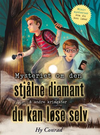 Mysteriet om den stjålne diamant & andre krimgåter du kan løse selv