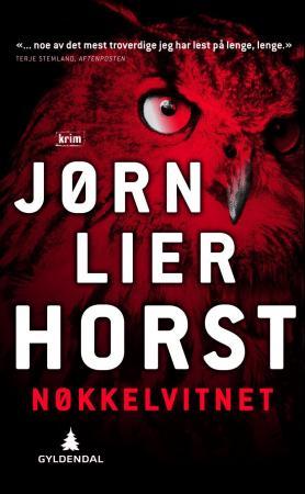 Nøkkelvitnet: kriminalroman