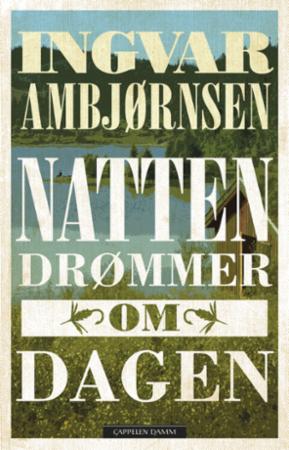 Natten drømmer om dagen: roman