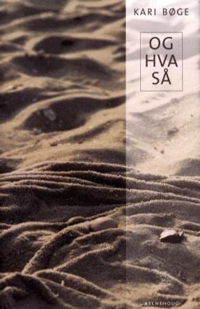 Og hva så: roman
