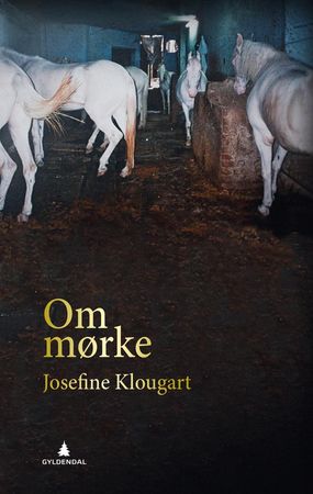 Om mørke