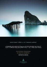 Oppmerksomhetstrening