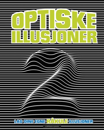 Optiske illusjoner 2