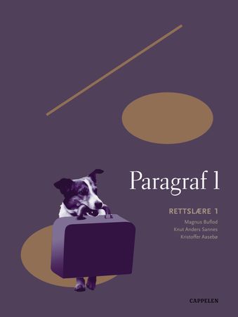 Paragraf 1: rettslære 1