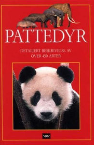 Pattedyr