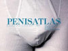 Penisatlas